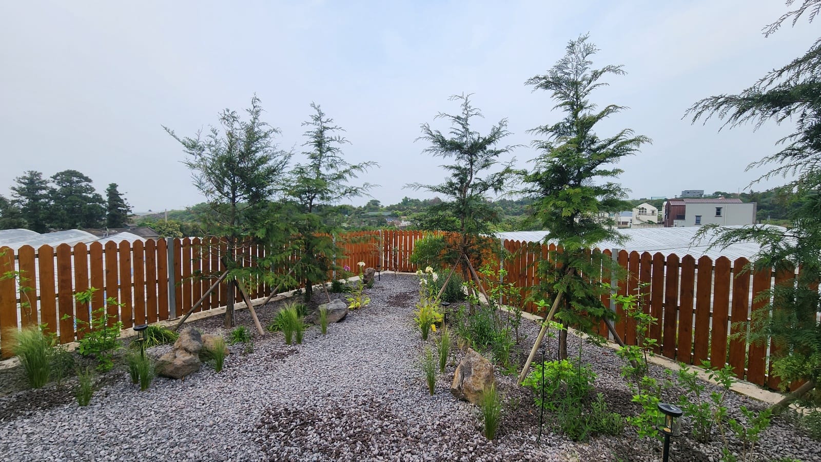 Newly planted garden with gravel paths, staked young trees and a wood fence
